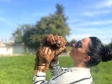 Toy Poddle Yavrularım Sağlık Ve Irk Garantilidir