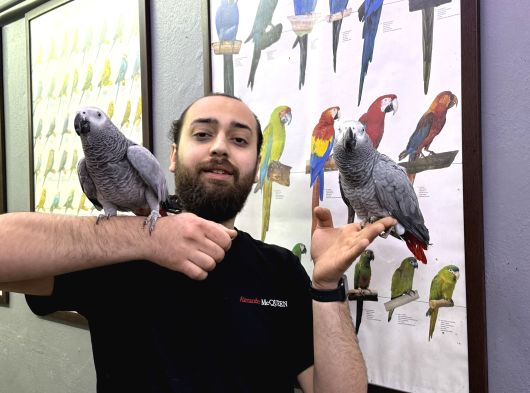 100 Keli̇me Konuşan Evci̇l Jako Papağanimiz görsel