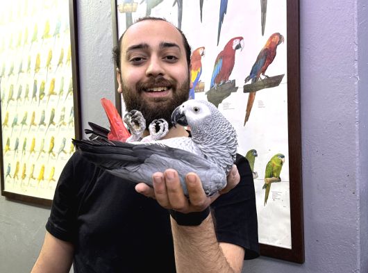 100 Keli̇me Konuşan Evci̇l Jako Papağanimiz görsel