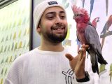 2025 Kapali Bi̇lezi̇kli̇ Gül Kakadu Papağanimiz