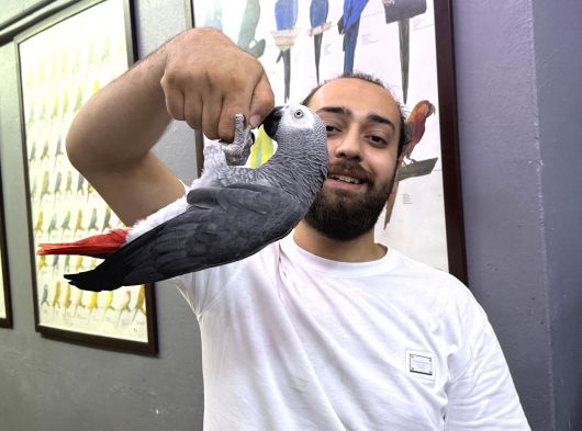 100 Keli̇me Net Konuşan Jako Papağanimiz görsel