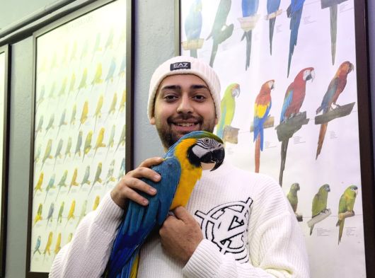 Full Eği̇ti̇mli̇ Konuşan Ara Macaw Papağanimiz görsel