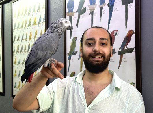 200 Keli̇me Üzeri̇ Net Konuşan Jako Papağanimiz görsel
