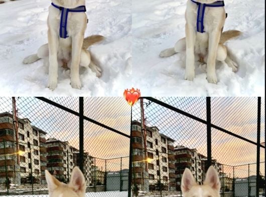 Ücretsiz Olarak Tokyo Ömürlük Yuvasını Bekliyor görsel