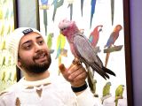 Gül Kakadu Papağanimiz Full Eği̇ti̇mli̇ Bebek