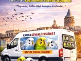 İstanbulda Adrese Teslim Kapıda Ödeme Muhabbet