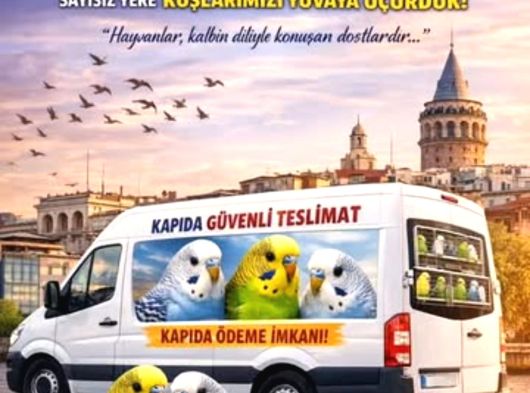 İstanbulda Adrese Teslim Kapıda Ödeme Muhabbet görsel