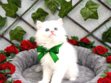 Karpostal Gi̇bi̇ Bebek Karbeyazi Boncuğumuz