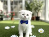 Yumoş Tüyleri̇yle İçi̇ni̇zi̇ Isitmaya Geldi̇k