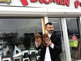 Wc Egi̇ti̇mli̇  Toy Poodle Yavrularimiz Fenomen Pets Ankara