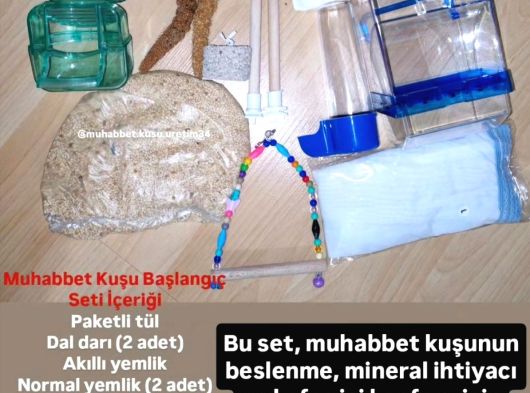 Tüm İstanbul İlçeleri̇ne Adrese Tesli̇m Muhabbet Kuşu görsel