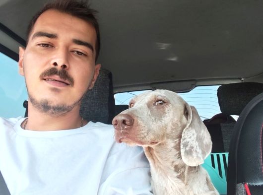 Türkiyede Tek Çikolata Merle Ve Isabella Merle görsel
