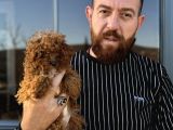 Mikro Tecup Toy Poodle Dişi