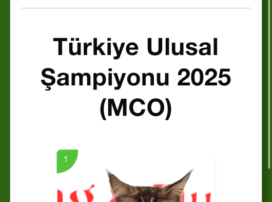 Gihc Şampiyon görsel