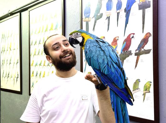 Sarilaci̇vert Eği̇ti̇mli̇ Konuşan Macaw Papağanimiz