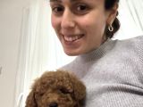 2 Aylık Wc Eğitimli Toy Poodle Acil Sahiplendirilecek