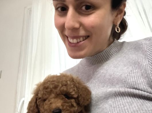 2 Aylık Wc Eğitimli Toy Poodle Acil Sahiplendirilecek görsel