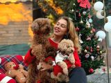 Ev doğumu poodle