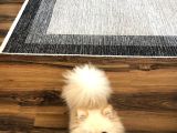 Pomeranian Boo