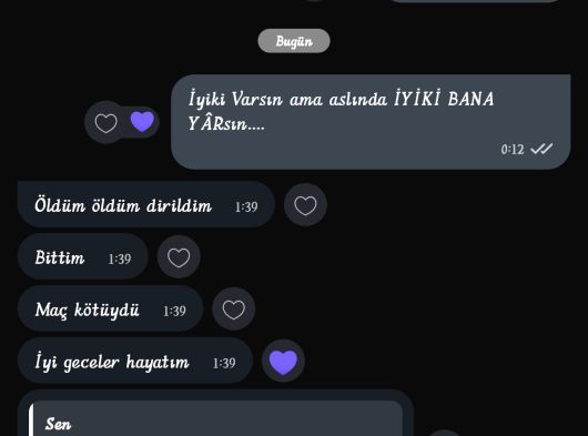 Morkie Yavrularımız görsel