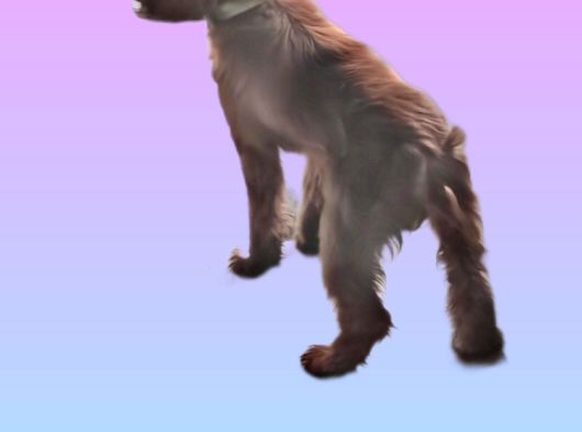 Süslü görsel