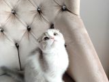 BAKMADAN GEÇMEYİN YAVRULARIMIZA HER RENK BİZDE VAR