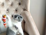 BAKMADAN GEÇME HER RENK YAVRULAR İÇİN BİZ BURDAYIZ