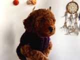 Red Brown Toy Poodle Yavrum