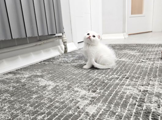 Aşılı Sağlık Kontrolünden Geçen Bebeklerim görsel