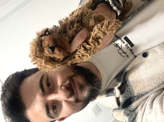 Toy Poodle Bebekler Hazır Sizi Bekliyoruzzzz görsel