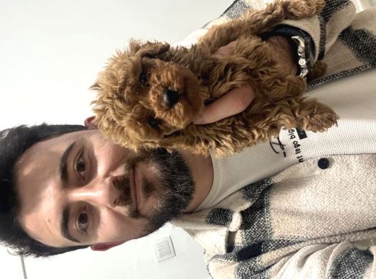 Toy Poodle Bebekler Hazır Sizi Bekliyoruzzzz görsel