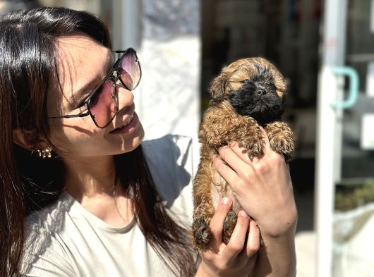 Aşiri Uygun Malti̇po Di̇şi̇ görsel