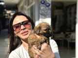 Aşiri Uygun Malti̇po Di̇şi̇