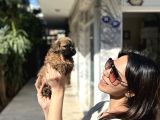 Aşiri Uygun Malti̇po Di̇şi̇