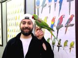 Konuşan Halkali Alexander İskender Papağani