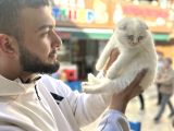 Kaliteli Kedi Yavrularımız