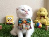 KARBEYAZI HARİKA ÖTESİ BEBEKLERİM