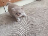 Bakmadan Geçme Çok Şey Kaçirirsin Bebi̇şler Burda