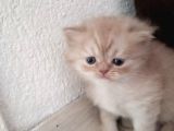 Bakmadan Geçme Çok Şey Kaçirirsin Bebi̇şler Burda