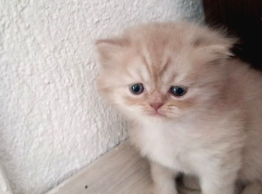 Bakmadan Geçme Çok Şey Kaçirirsin Bebi̇şler Burda görsel
