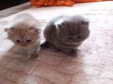Bakmadan Geçme Çok Şey Kaçirirsin Bebi̇şler Burda