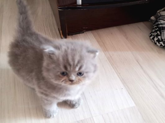 Bakmadan Geçme Çok Şey Kaçirirsin Bebi̇şler Burda