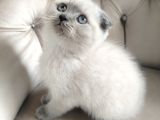 Yok Böylesi̇ Bakmadan Geçmeyi̇n Bebi̇şlere