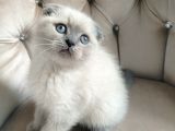 Yok Böylesi̇ Bakmadan Geçmeyi̇n Bebi̇şlere
