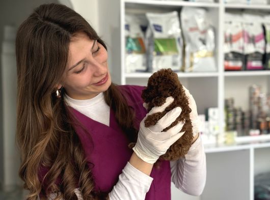 Redbrovn Korea Poodle Bebekler görsel