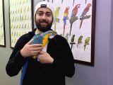 Full Eği̇ti̇mli̇ Sarilaci̇vert Macaw Papağanimiz