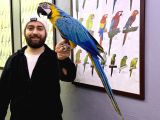 FULL EĞİTİMLİ SARILACİVERT MACAW PAPAĞANIMIZ