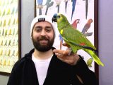 Evci̇l Konuşan Bluefront Amazon Papağanimiz