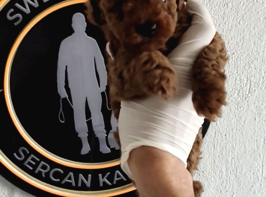 Kore Max 2 Kg Garantili 3-4 Aylık Full Aşılı görsel