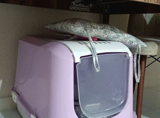 İpek Tüylü Bebek görsel